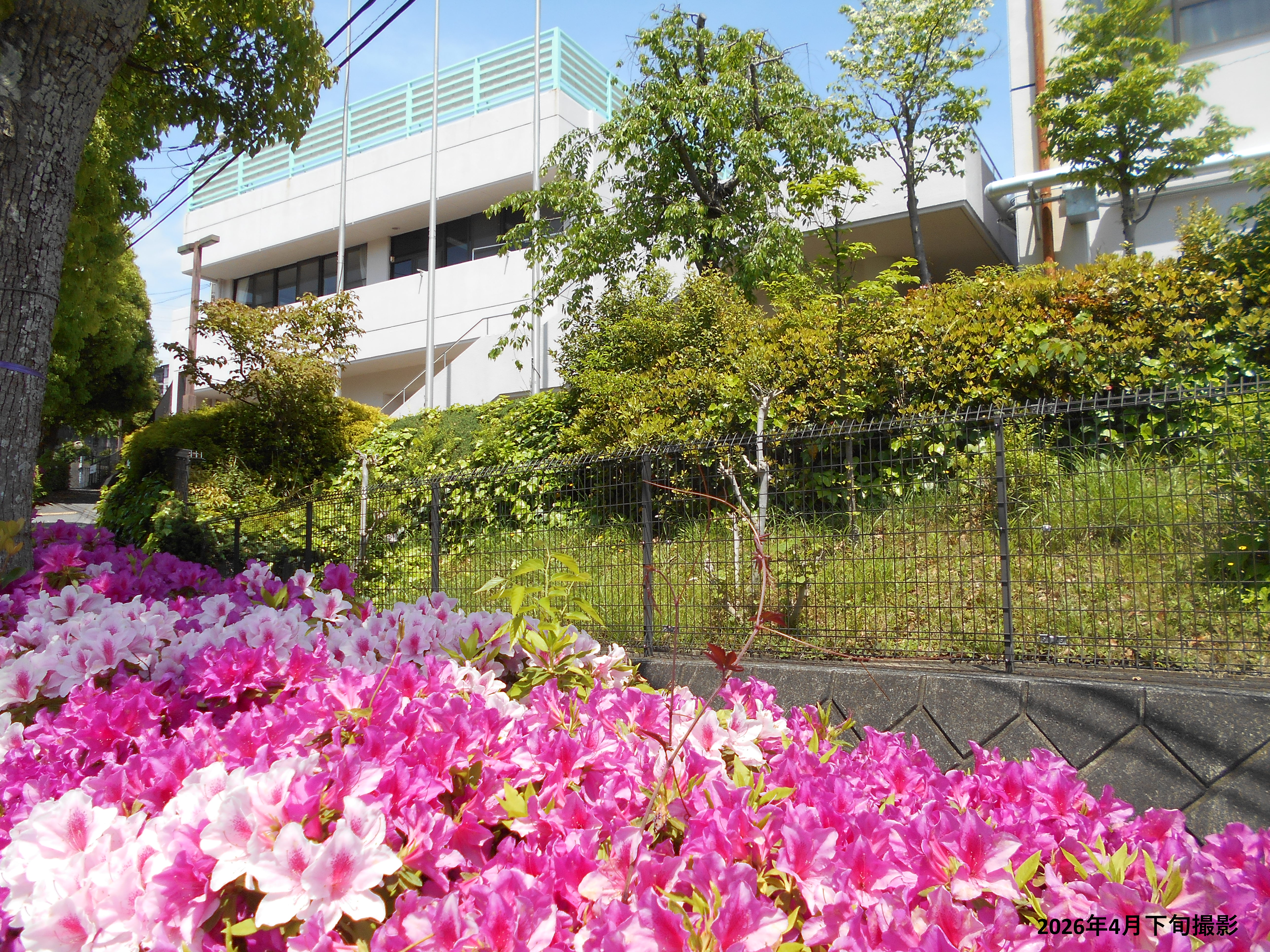 �n��Z���^�[�A